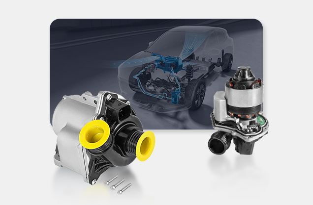 Guarantee maintenance